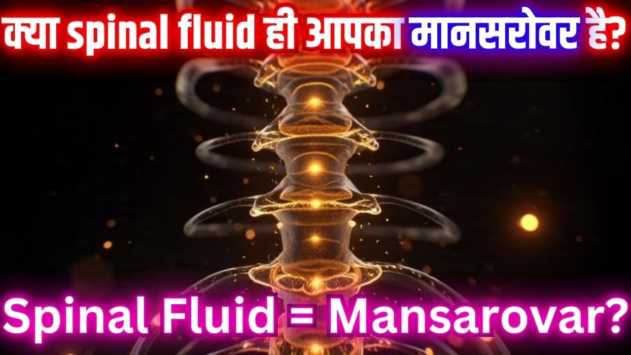 Spinal Fluid = Mansarovar? | The Hidden Brain–Soul Mirror #summaryjunction