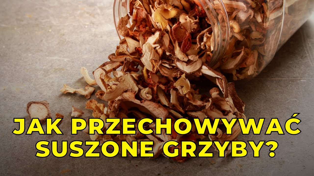 Poradnik jak przechowywać suszone grzyby
