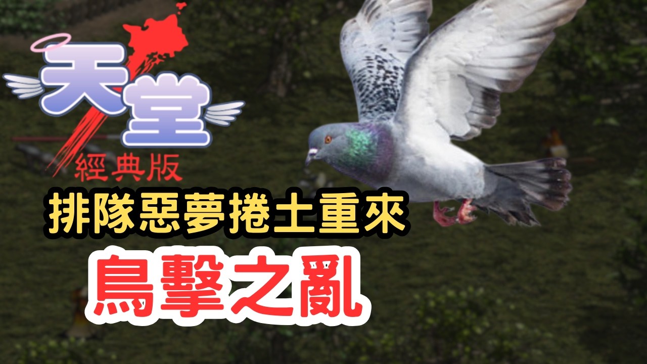 【天堂經典版】讓課長也崩潰的「鳥擊之亂」！伺服器大當機，排隊噩夢重演？