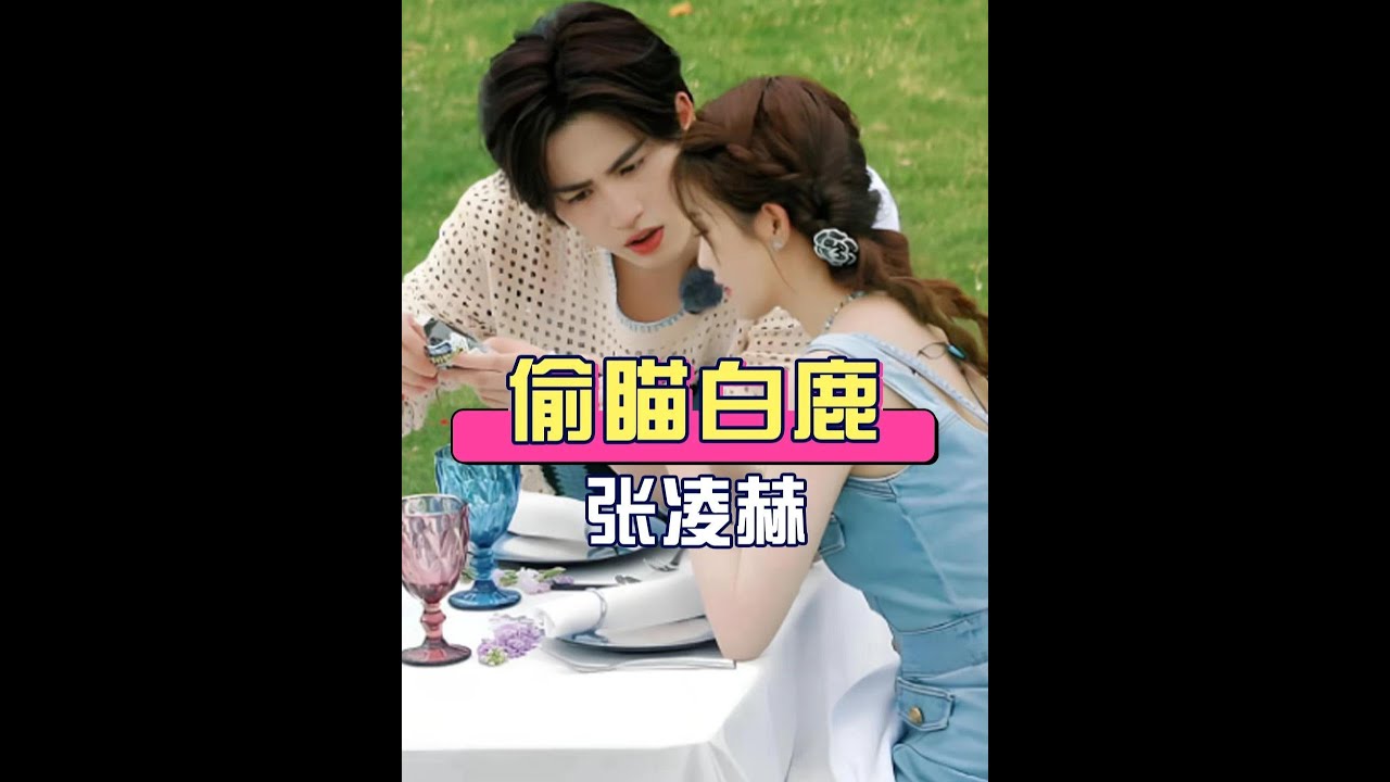 明明和白鹿早已分道揚鑣，為何張凌赫會偷瞄白鹿？看到不同男星對白鹿的態度一切都懂了#白鹿  #張凌赫  #曾舜晞  #娛樂評論大賞  #內容啟發搜索