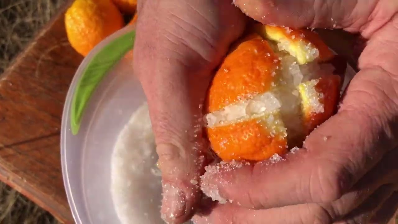 Lemon Paste Preserve Substitute For Salt in Cooking - Adds Flavour 