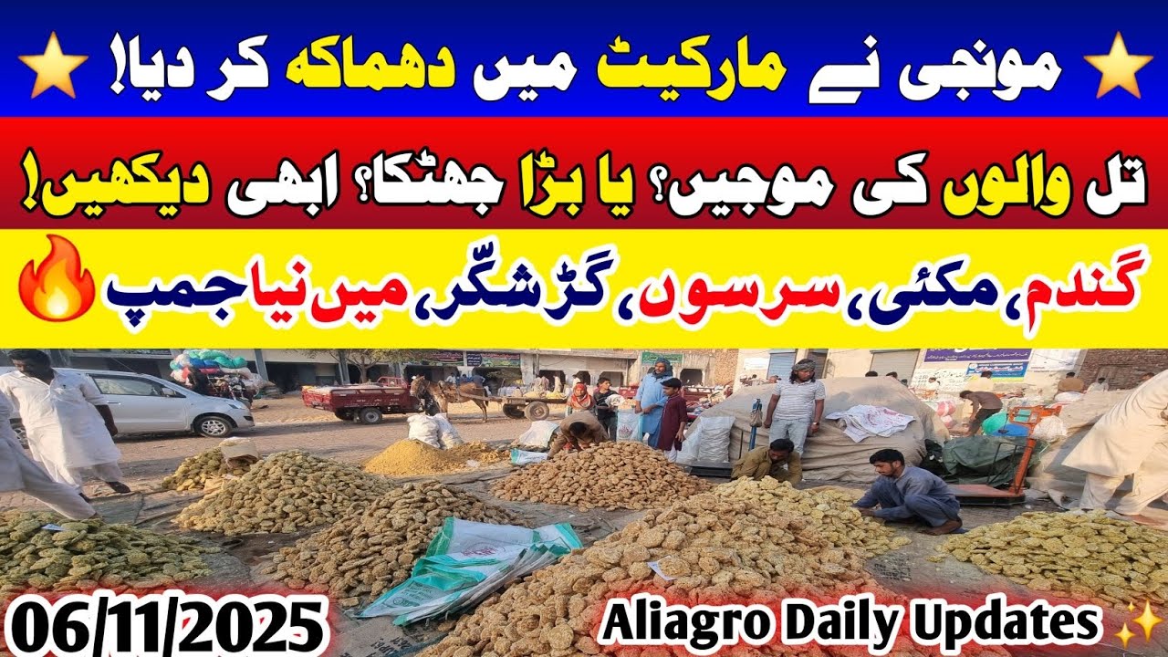 Monji Ne Market Hila Di 😱 | Til, Gandum, Makki, Sarson Rates Mein Naya Jump 🔥 | Mandi Update Today