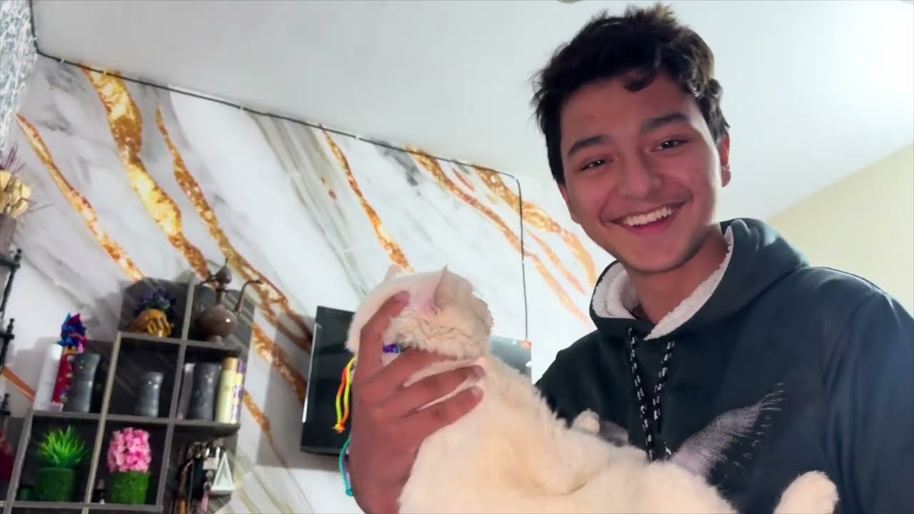 👉 Coco Ka Last Treatment 🐱❤️ | Finally Healthy & Happy