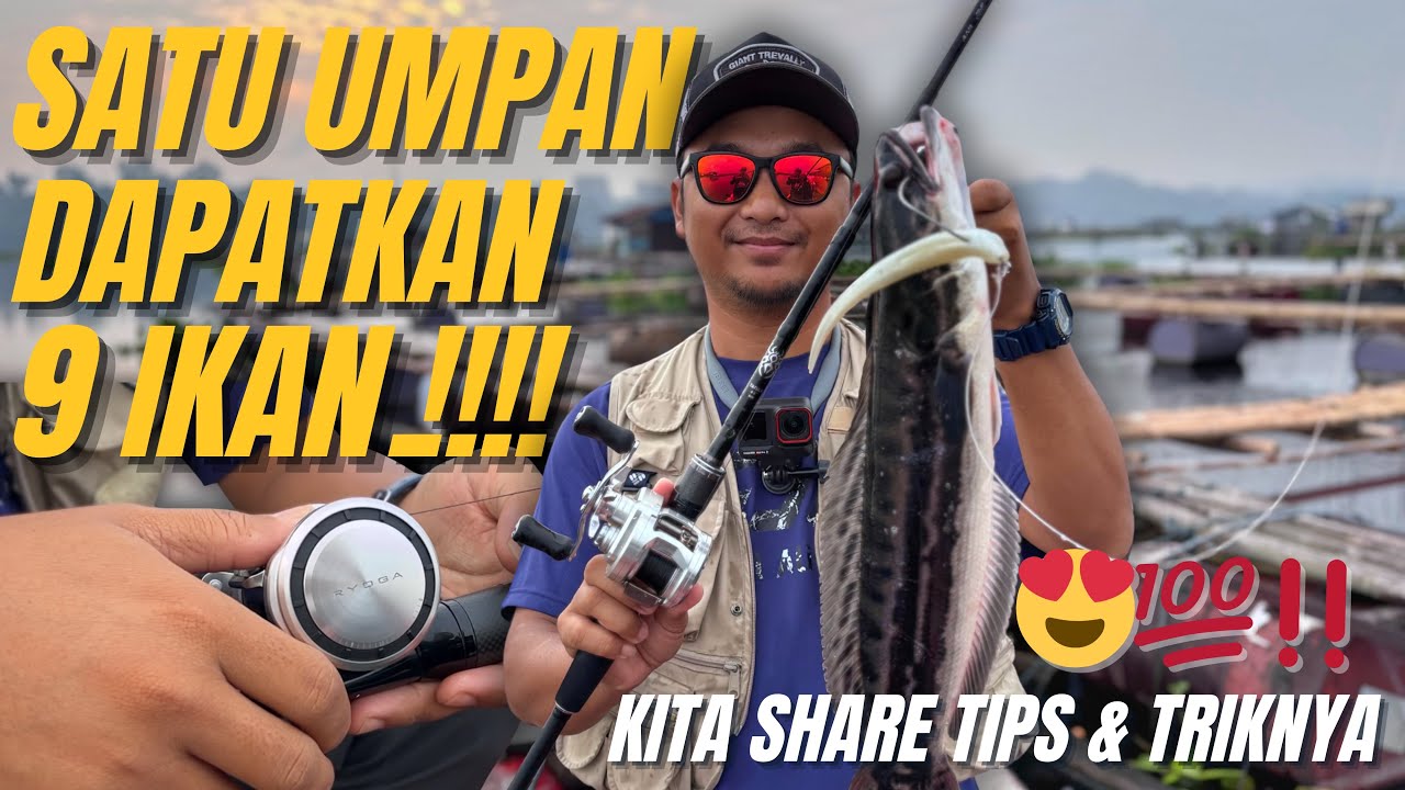 INI DIA PUNCAKNYA‼️😍🔥KOMBINASI MEM4TIKAN DAIWA RYOGA 2026 & PERMAINAN SOFTLURE‼️🔥TOMAN PASTI SAMBAR🔥
