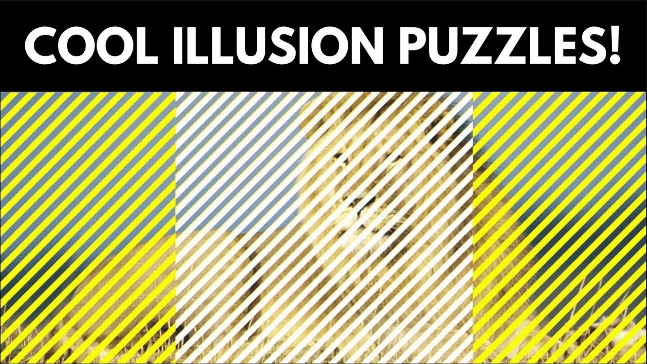 Awesome Eye Test - Guessing Animals Puzzle!