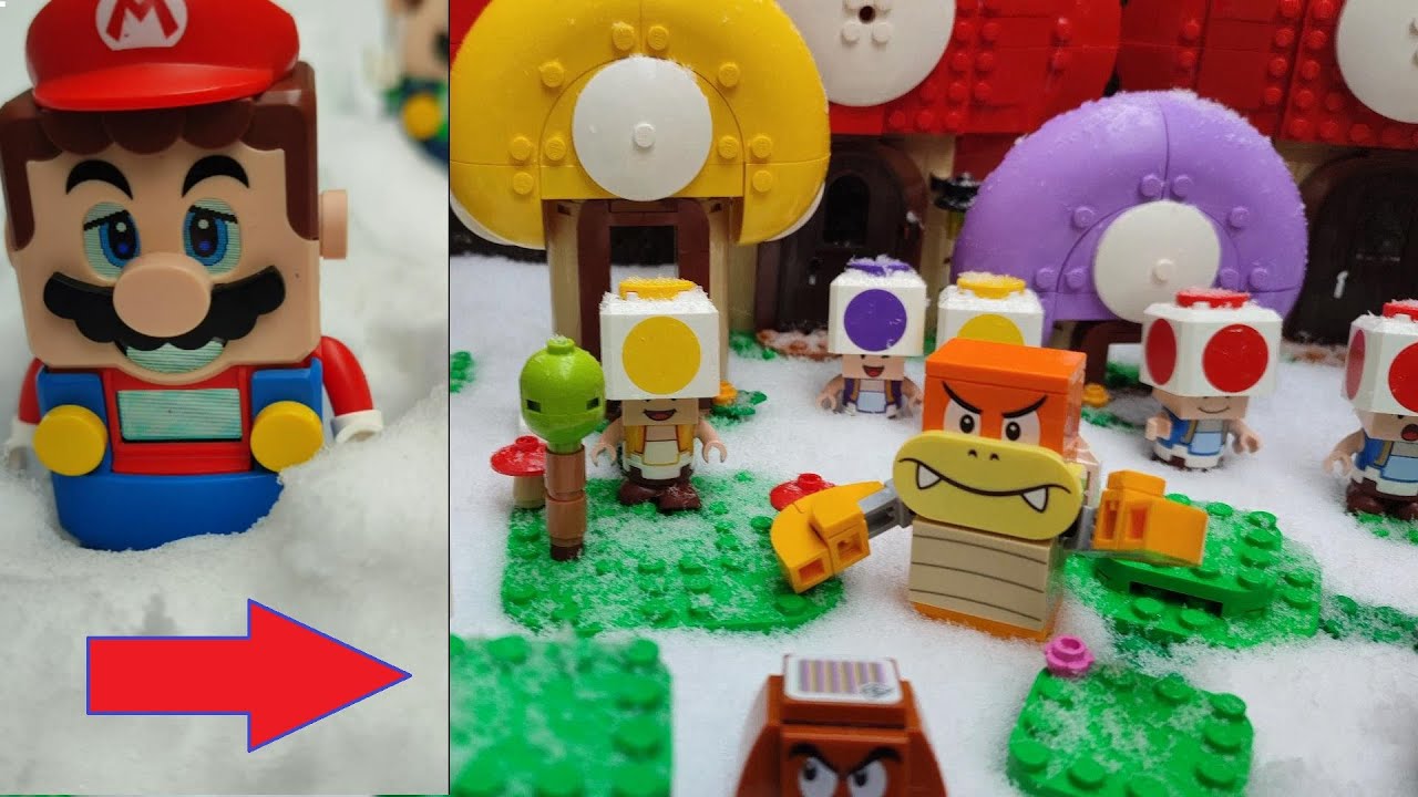 Mario snow Level The Quest to save Toad Village Hugh