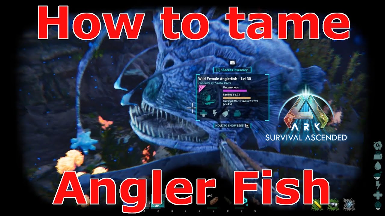 Ark Survival Ascended Angler Taming, Ark how to tame Angler fish, Ark why you NEED angler fish