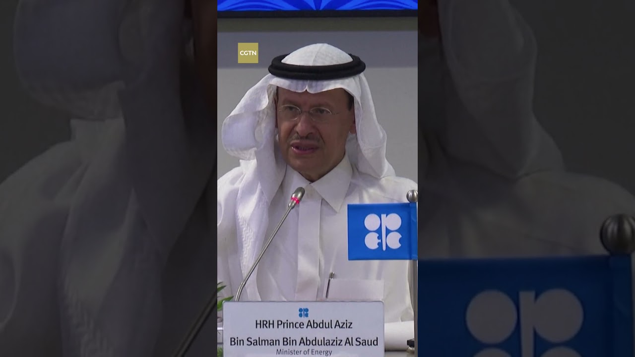 OPEC+ adjusts output targets for 2024
