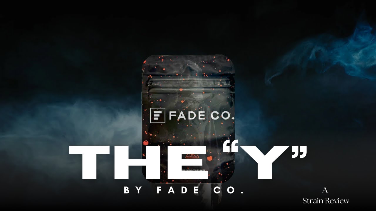 What Makes The Y (Y-Life) by Fade Co. So Unique? A Full Strain Breakdown