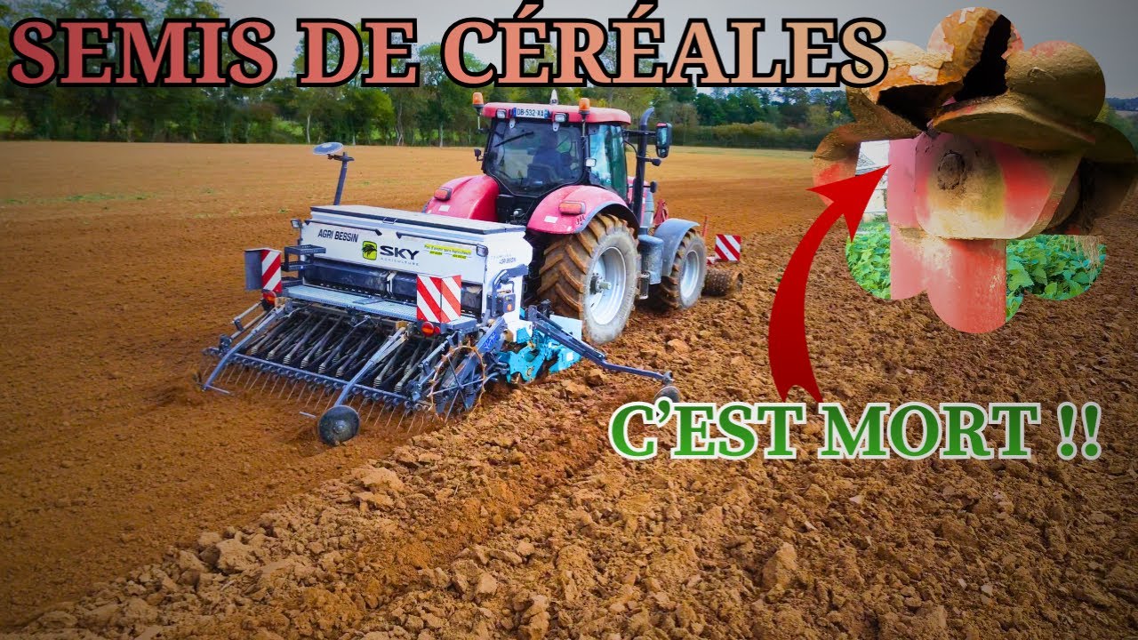 TOP DÉPART DES SEMIS BLÉ 2025