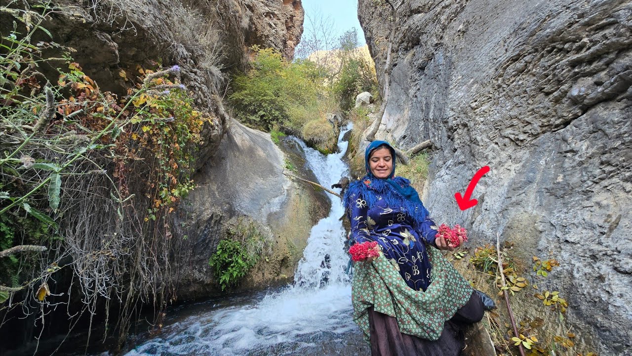 🏔️ Crossing rivers and rocks: 🌿 Kulthum's brave journey to find Gordo's herbal medicine 💚