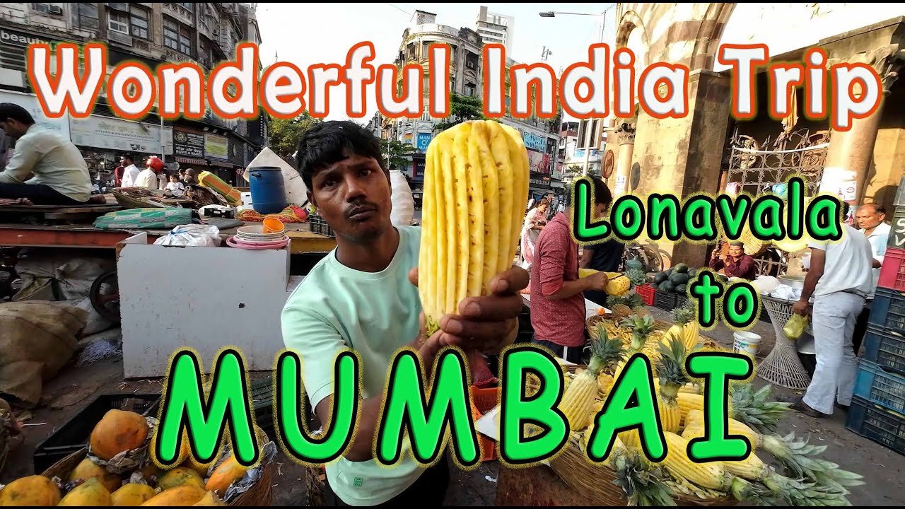 Travel India - Mumbai 1 טיול להודו