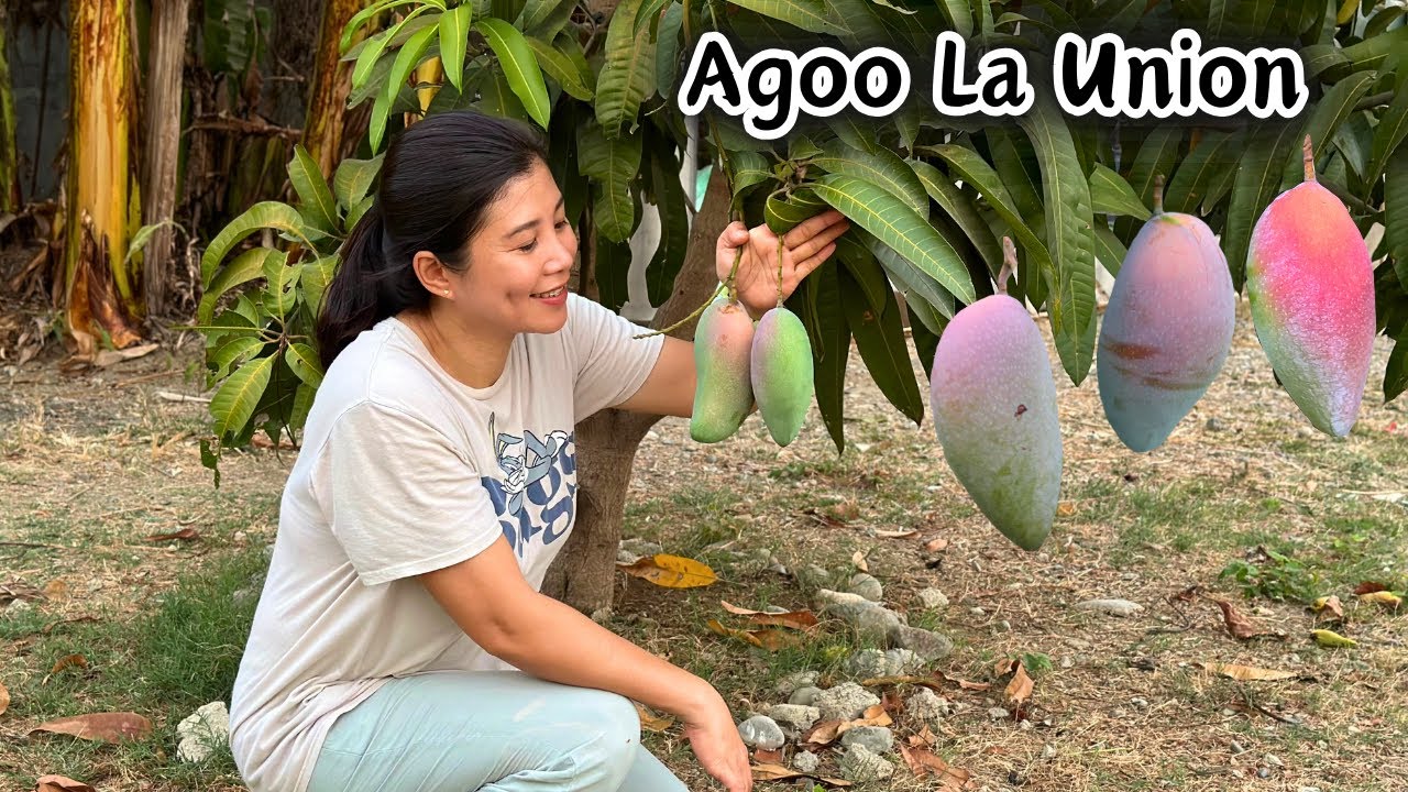 Baka ibang bahay ang napasok natin 😂 Tara sa Agoo La Union | ROMALYN VLOGS