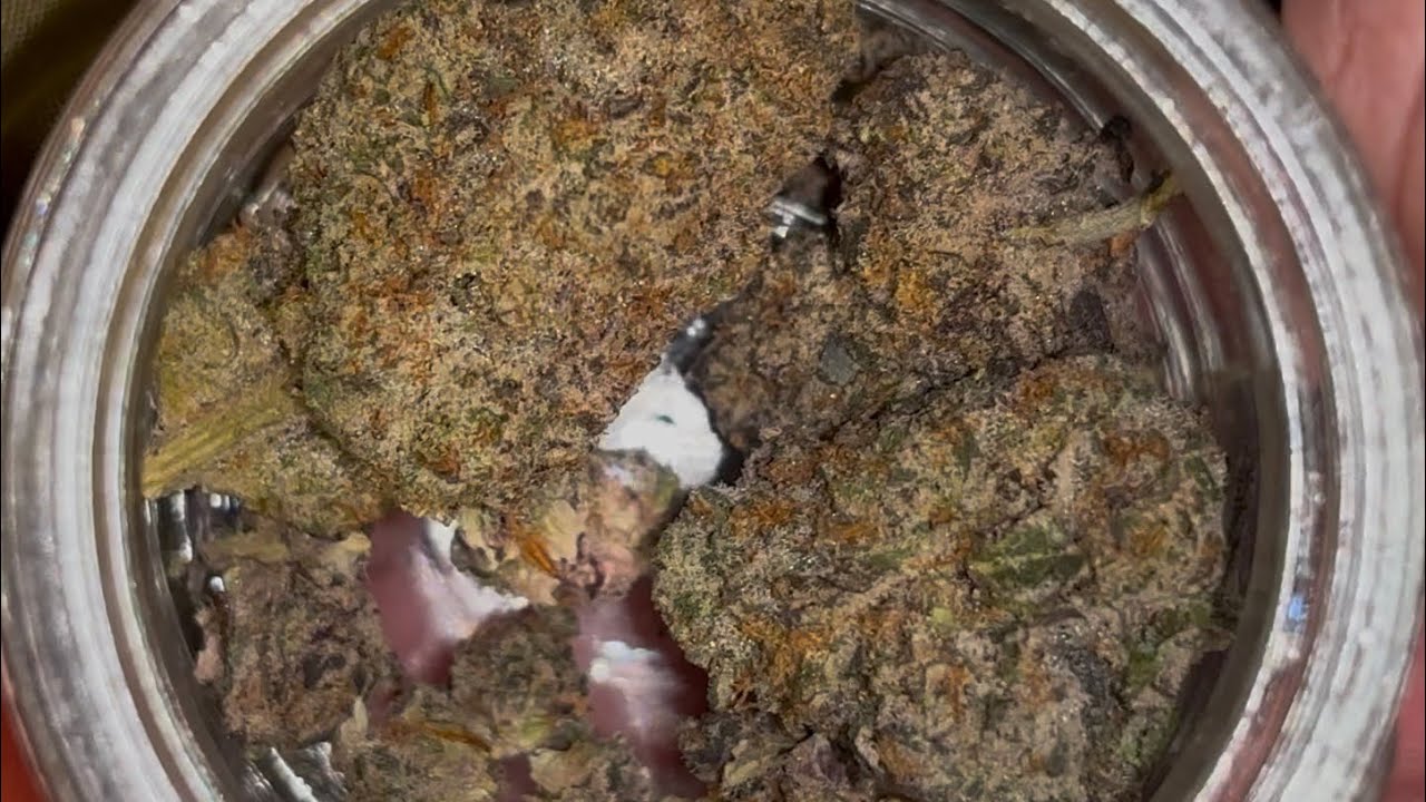 THCA SMALL BUDS DANK FLAMINGO  DANK TRUFFLE REVIEW