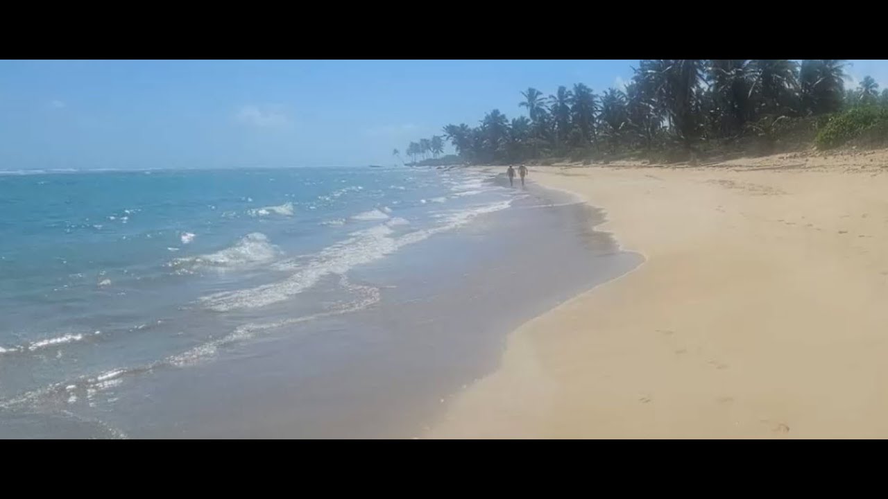 Turquoise Dreams: Beach Bliss at Excellence Punta Cana, DR