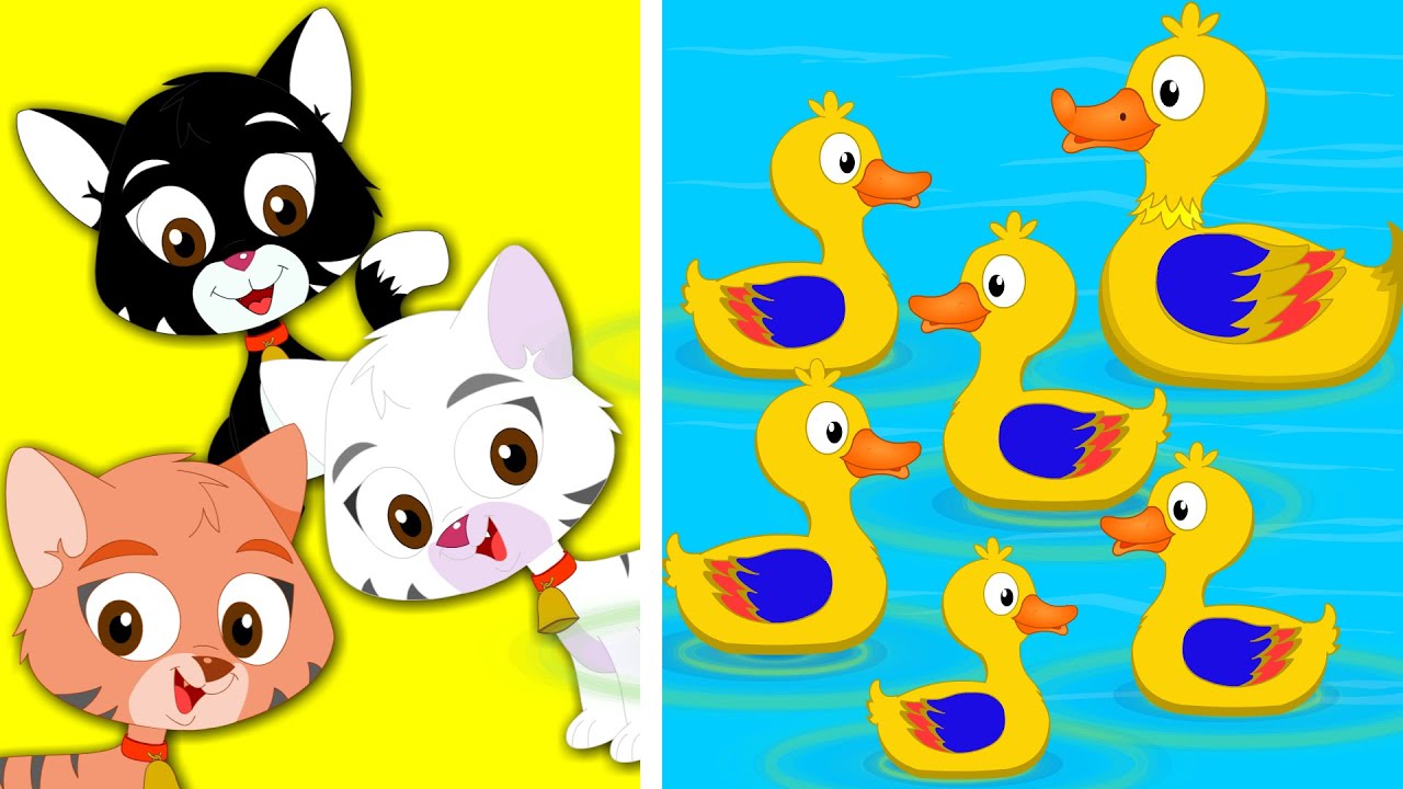 Wheels On The Bus Three Little Kittens Five Little Ducks Nursery Rhymes kids tv