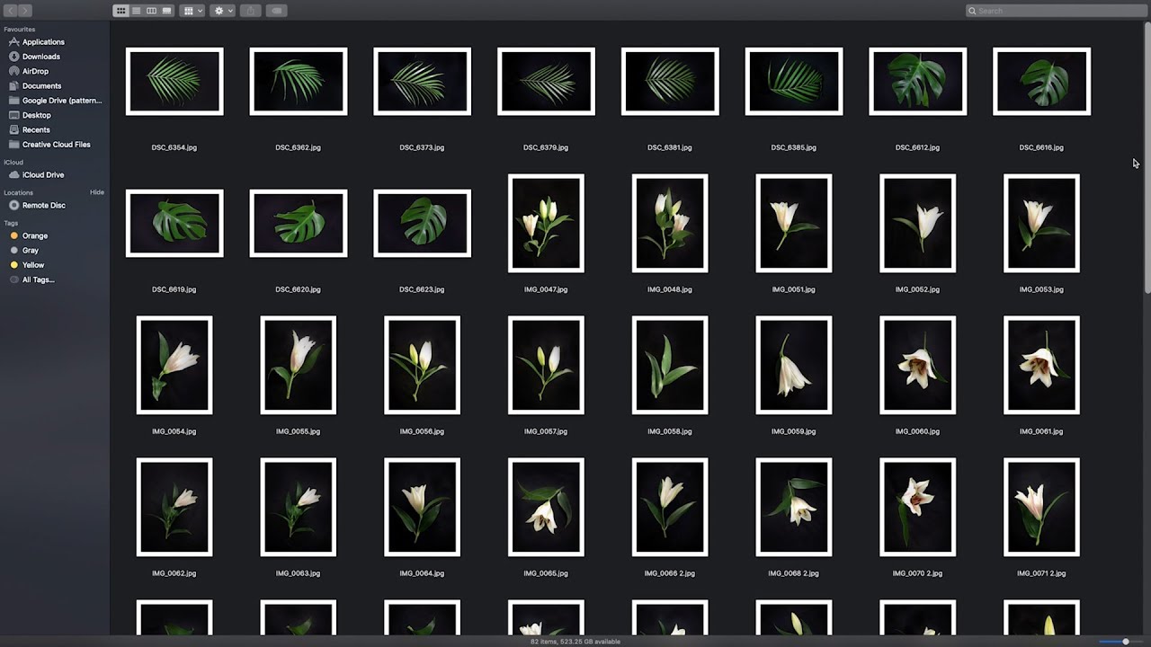 S1 EP5 CREATING SOURCE IMAGERY FOR FLORAL PRINT DESIGN