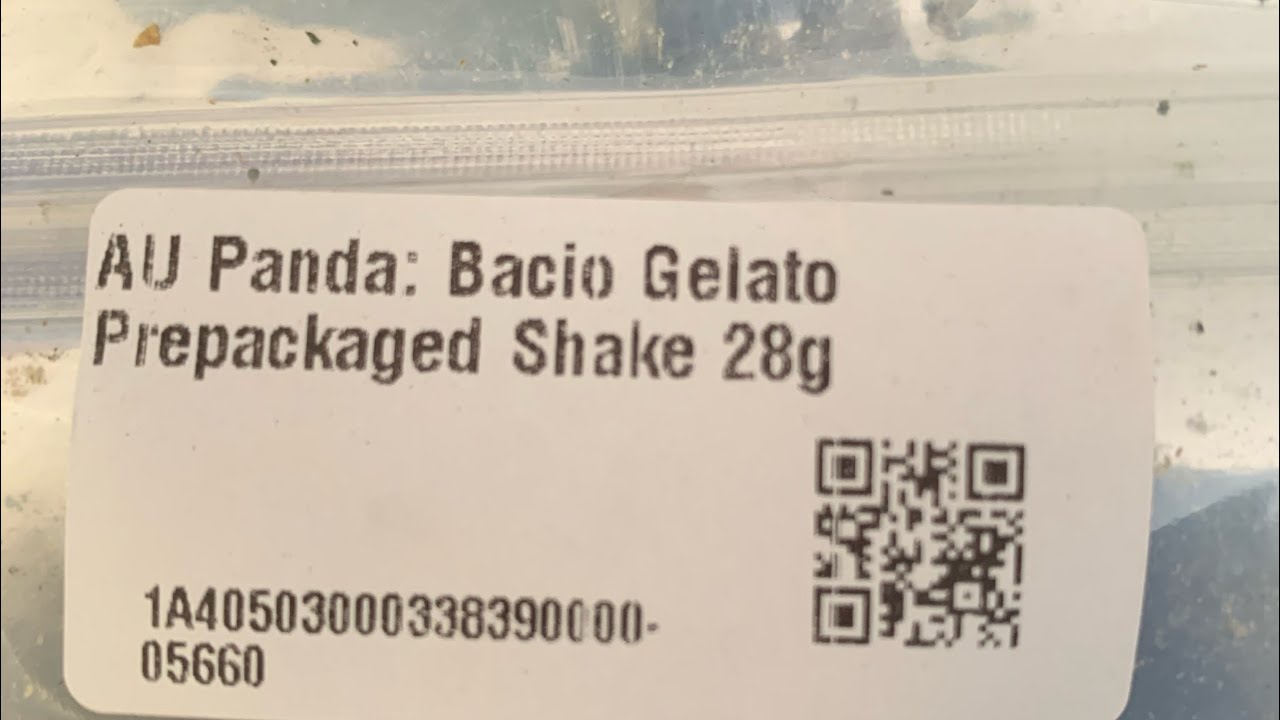 AU Panda: Bacio Gelato shake review