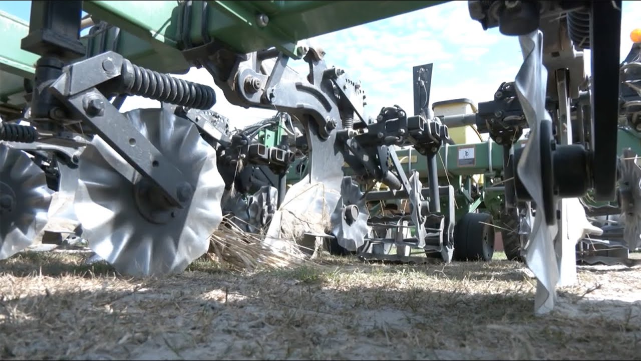 Georgia Cotton Growers Face Challenges & Change in 2025