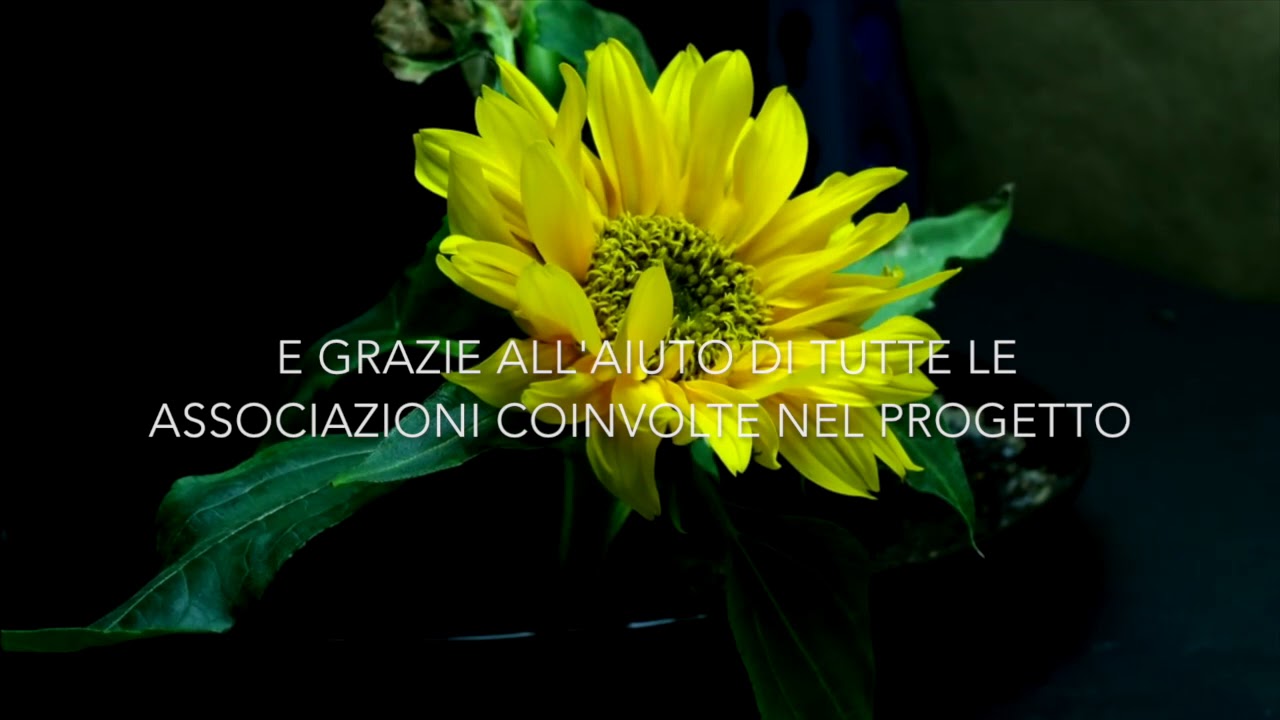 Alimentazione PCTO ~ Nicol&ograve; Massari