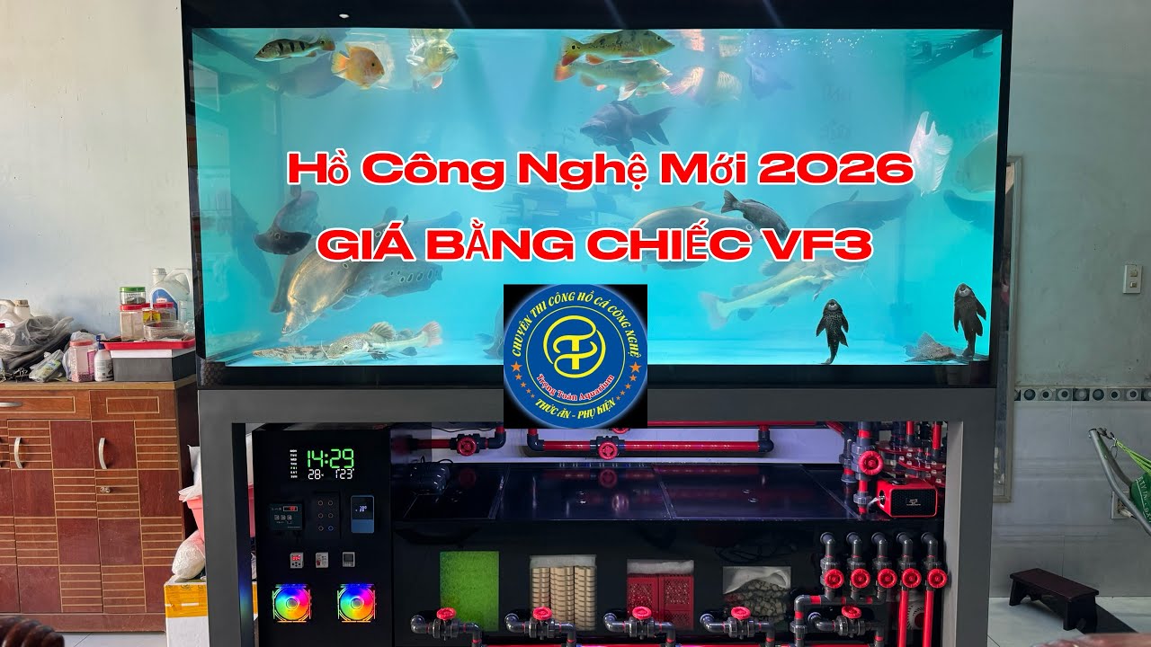 Bộ Hồ Công Nghệ Mới 2026 Phiên Bản Siêu Cao Cấp-Bàn Giao Gia Chủ Đồng Nai-Giá chỉ bằng chiếc Vf3