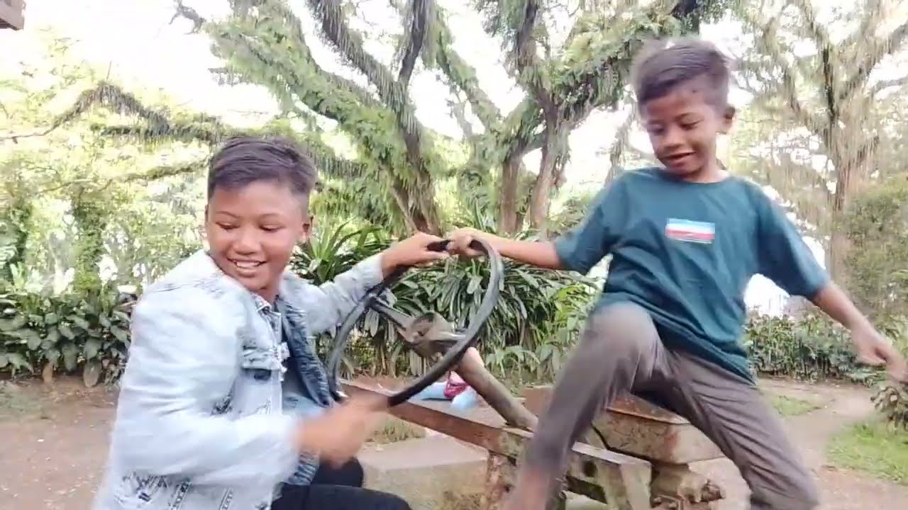 KAMPUNG-JAWATAN//WISATA POHON TREMBESI