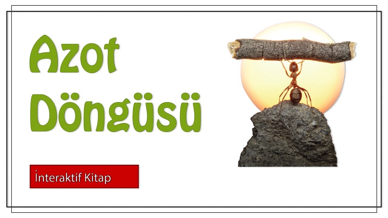 Azot Döngüsü #sayfa180