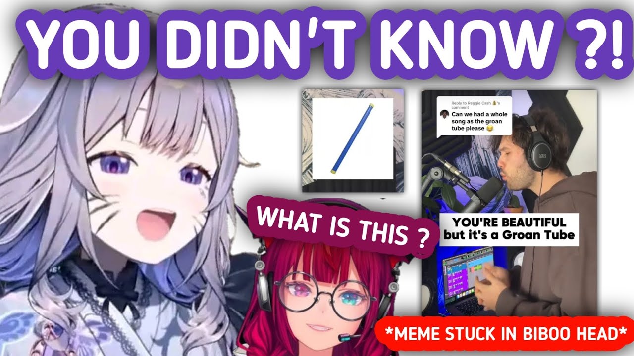 Biboo Shows IRyS a Meme That Been Stuck in Her Head Lately [Koseki Bijou/IRyS]