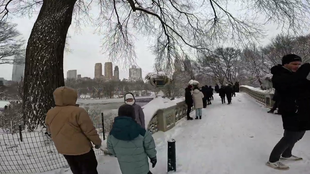 NYC snowstorm. Central Park relaxing ASMR POV 