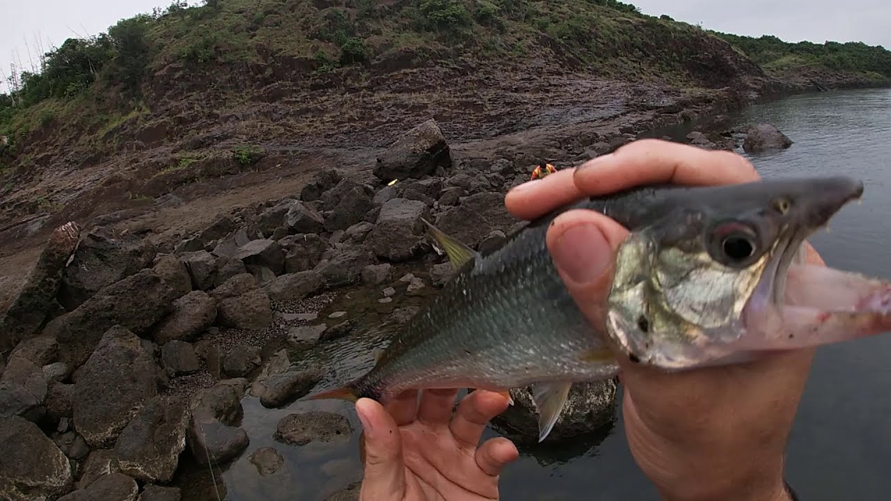 Saicangas no Ultra light #RioIguaçu