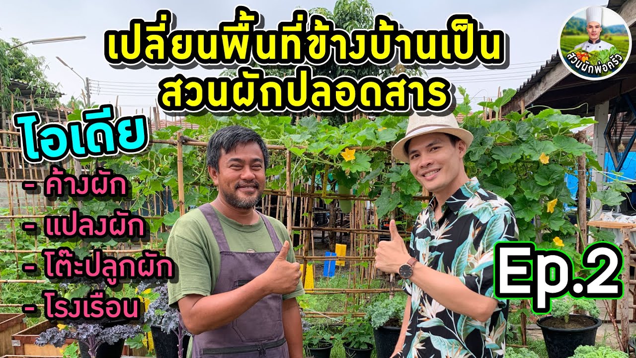 เปลี่ยนพื้นที่ข้างบ้านเป็นสวนผักปลอดสาร EP.2 | ค้างผัก แปลงผัก โต๊ะปลูกผัก โรงเรือน | สวนผักพ่อครัว