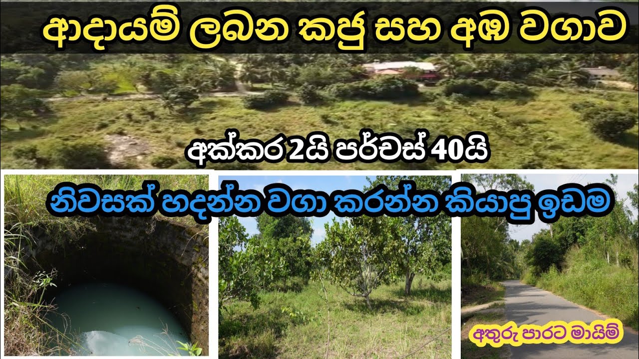 property sale in Mahawa Lassana Lanka property Sri Lanka සාධාරණ මිලකට හොඳ ඉඩමක් හොයන කෙනෙකුට