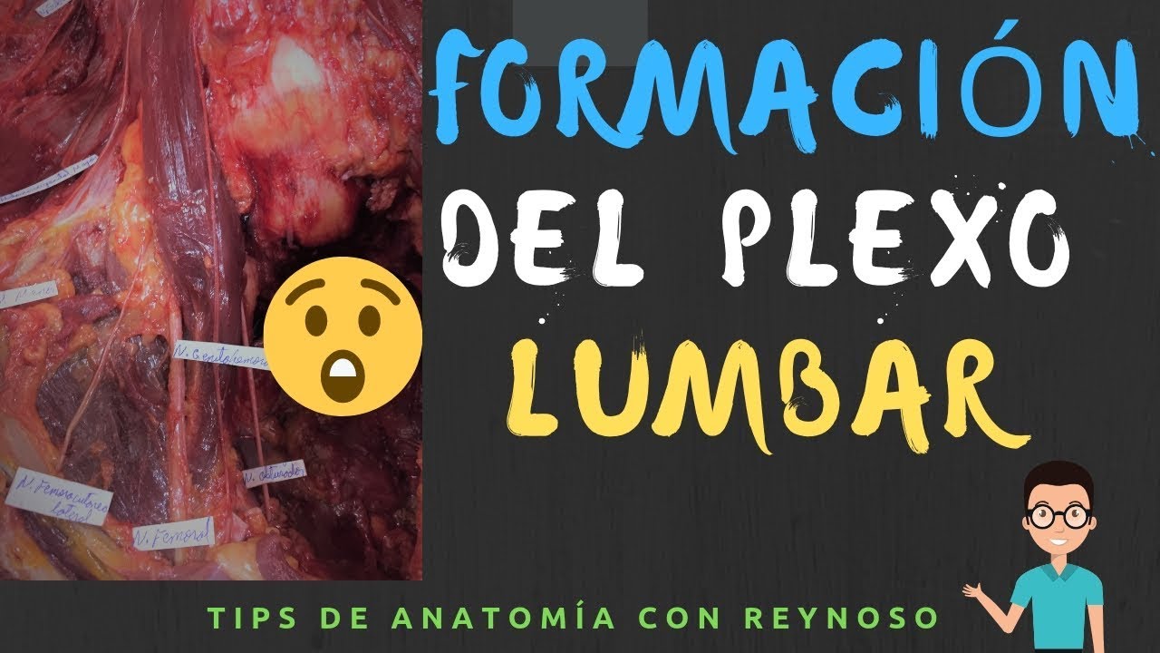 Plexo Lumbar Parte 1