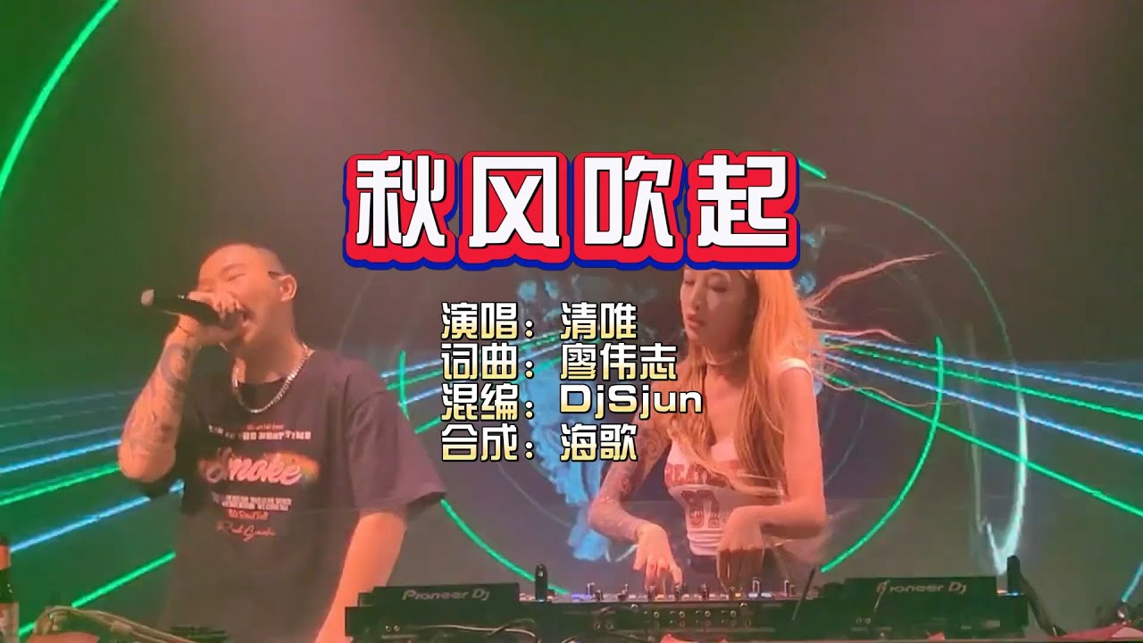 清唯《秋风吹起》DjSjun ProgHouse KTV 导唱字幕 （备有伴奏视频）