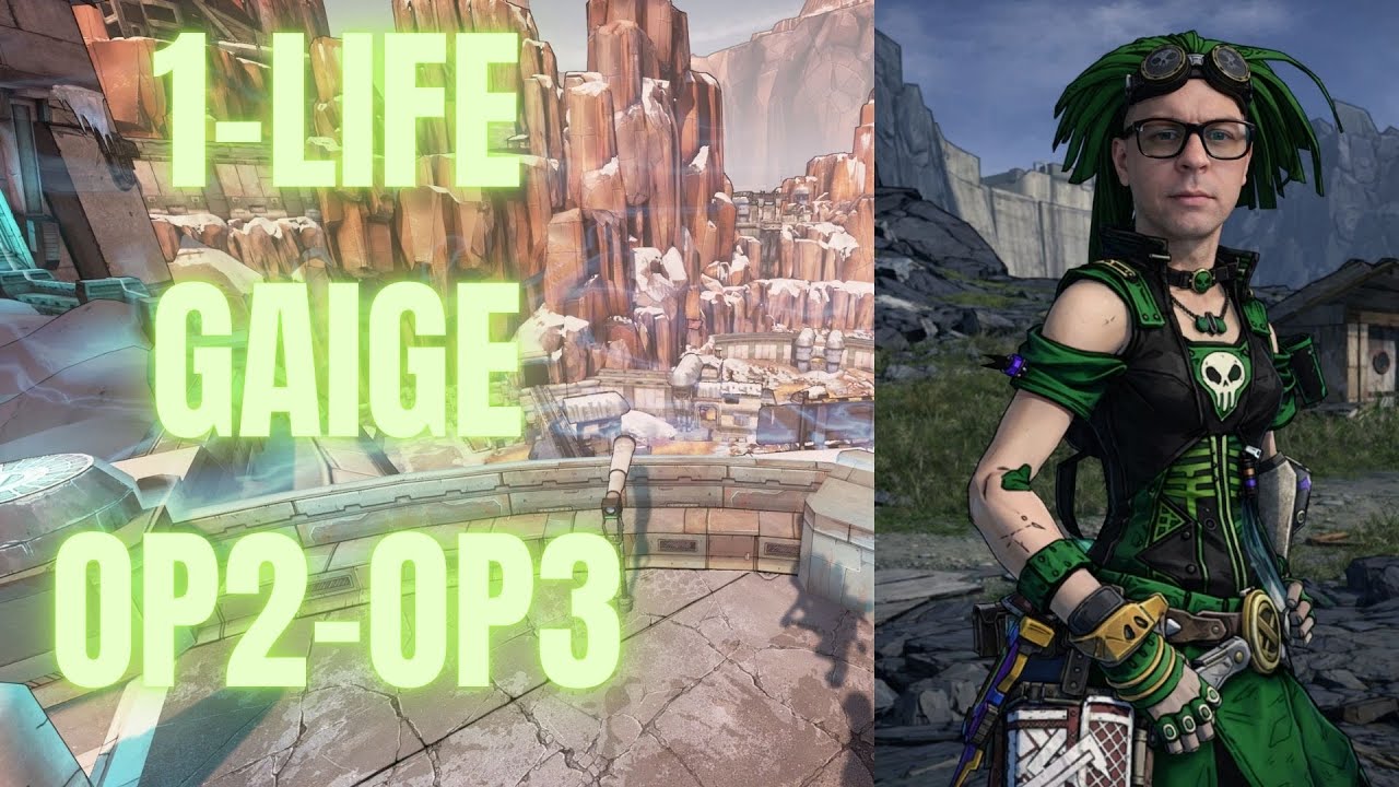 1life Gaige OP2-3