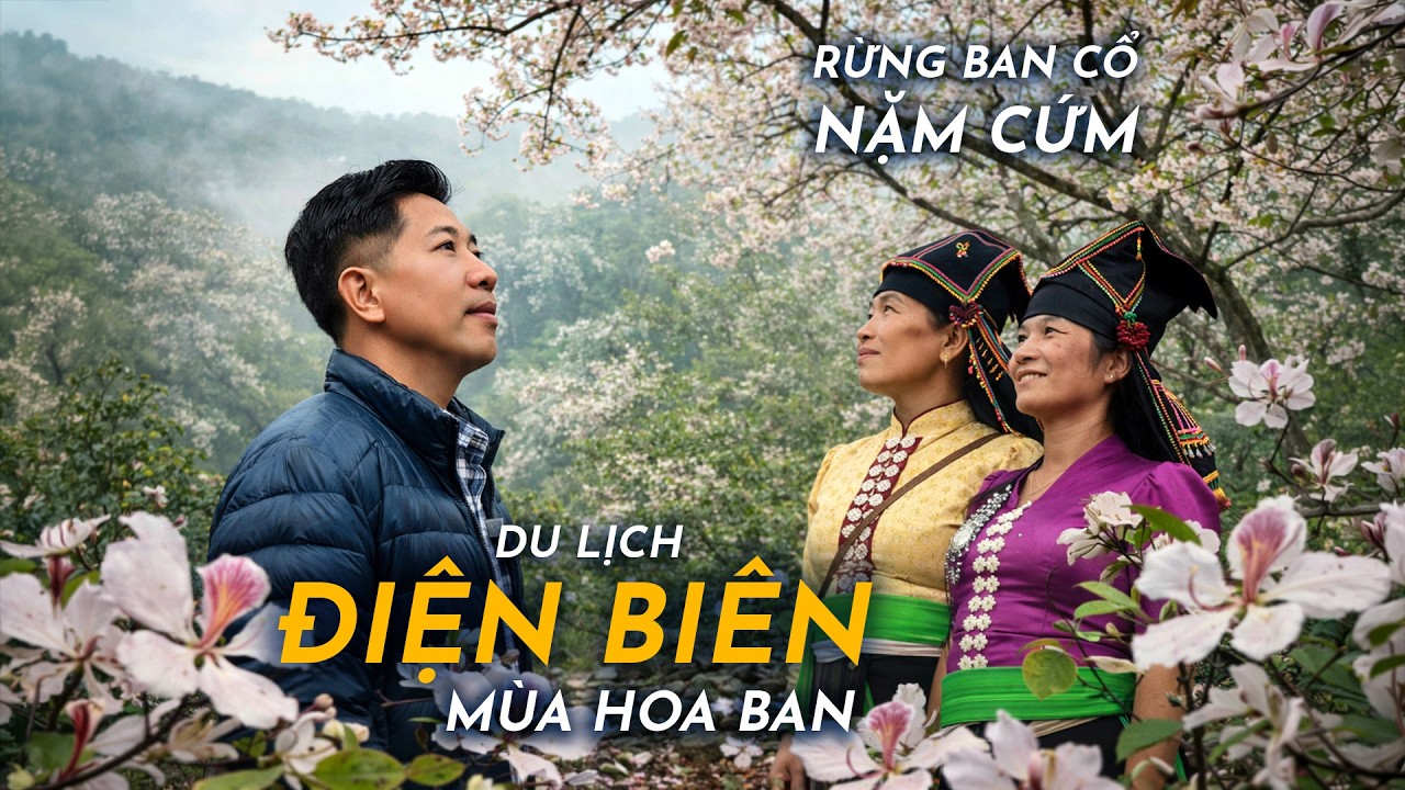 YDL #309: Rừng ban cổ đẹp như mơ ở Điện Bi&ecirc;n | Y&ecirc;u M&aacute;y Bay
