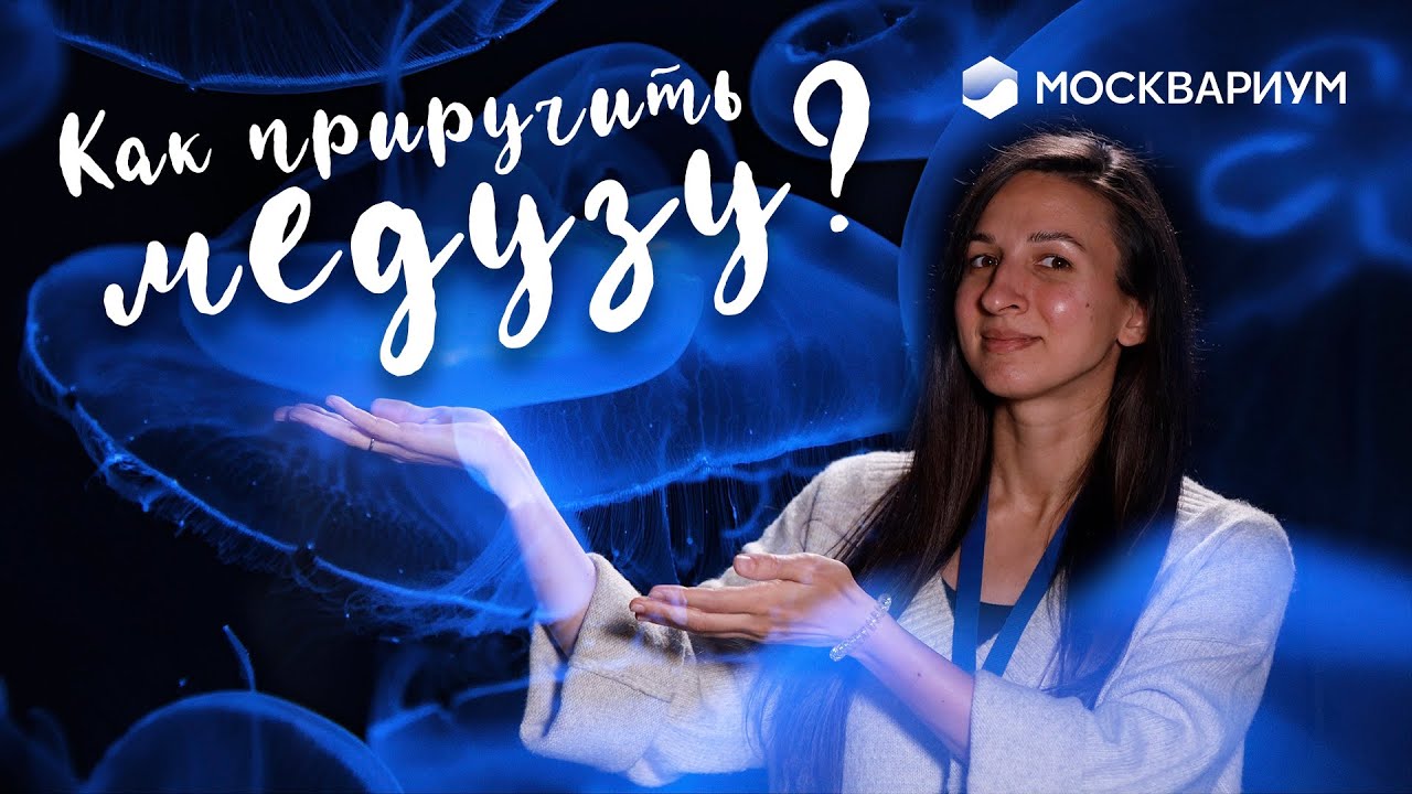 Как приручить МЕДУЗУ? / Аквариум для медуз