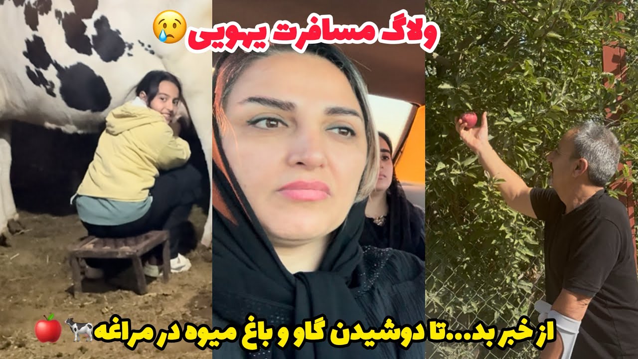 سفر غافلگیر کننده به مراغه بعد از خبر ناراحت کننده😢/چیدن 🍎🍑ودوشیدن🐄/روزمرگی های من😍