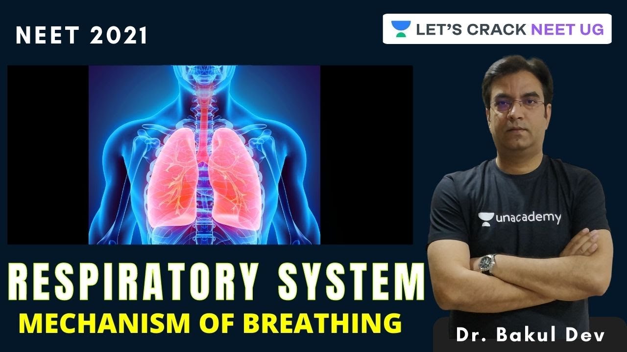 Respiratory System: Mechanism of Breathing | NEET Biology | NEET 2021 | Dr. Bakul Dev