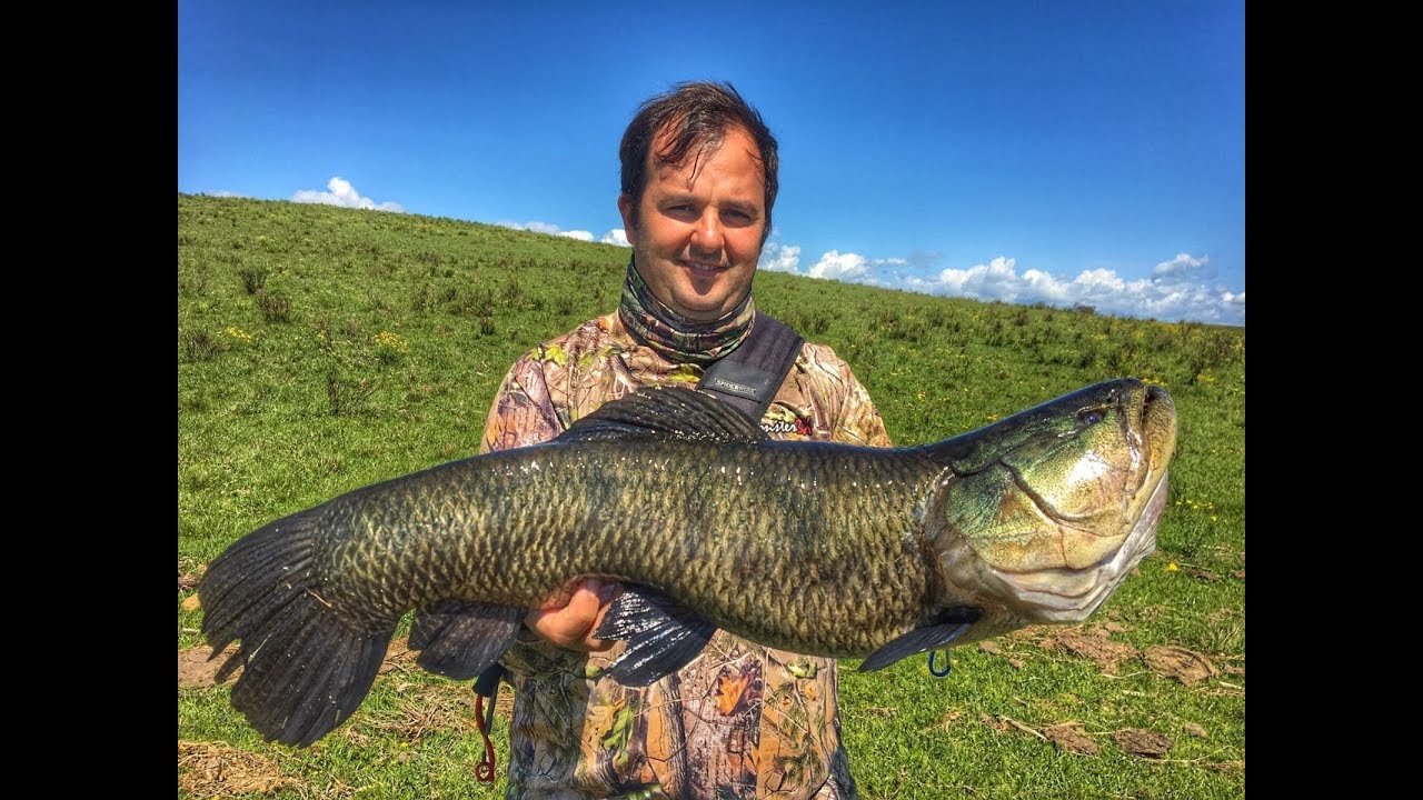 LAGO DOS MONSTROS - SÓ TRAÍRA GIGANTE