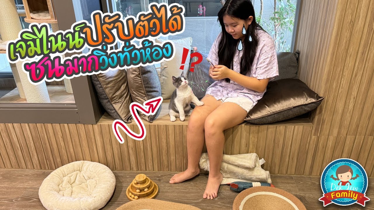 เจมิไนน์ปรับตัวได้ ซนมาก วิ่งทั่วห้อง