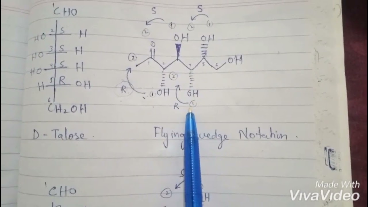 Fischer's Projection convert into Flying Wedge