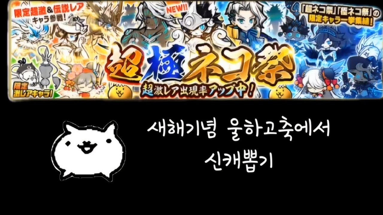 새해기념 울하고축 뽑기(냥코대전쟁)