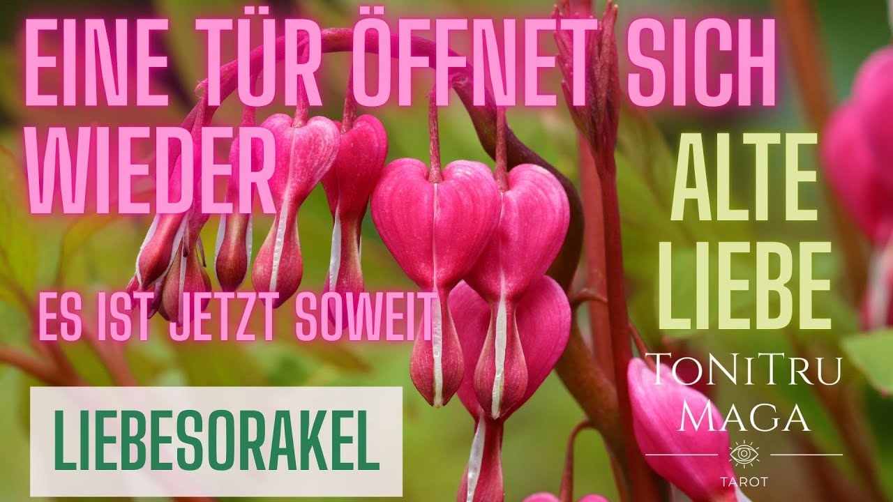 🔥💔 „ALTE LIEBE kehrt zurück!? 😱✨ DEIN #Seelenpartner  meldet sich wieder!“ 💞🔮