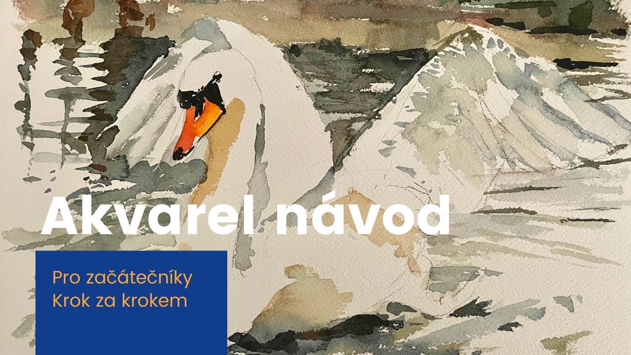 Jak malovat akvarelem- Labuť