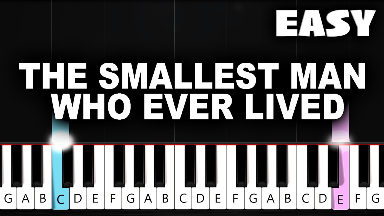 Taylor Swift - The Smallest Man Who Ever Lived - EASY Piano Tutorial
