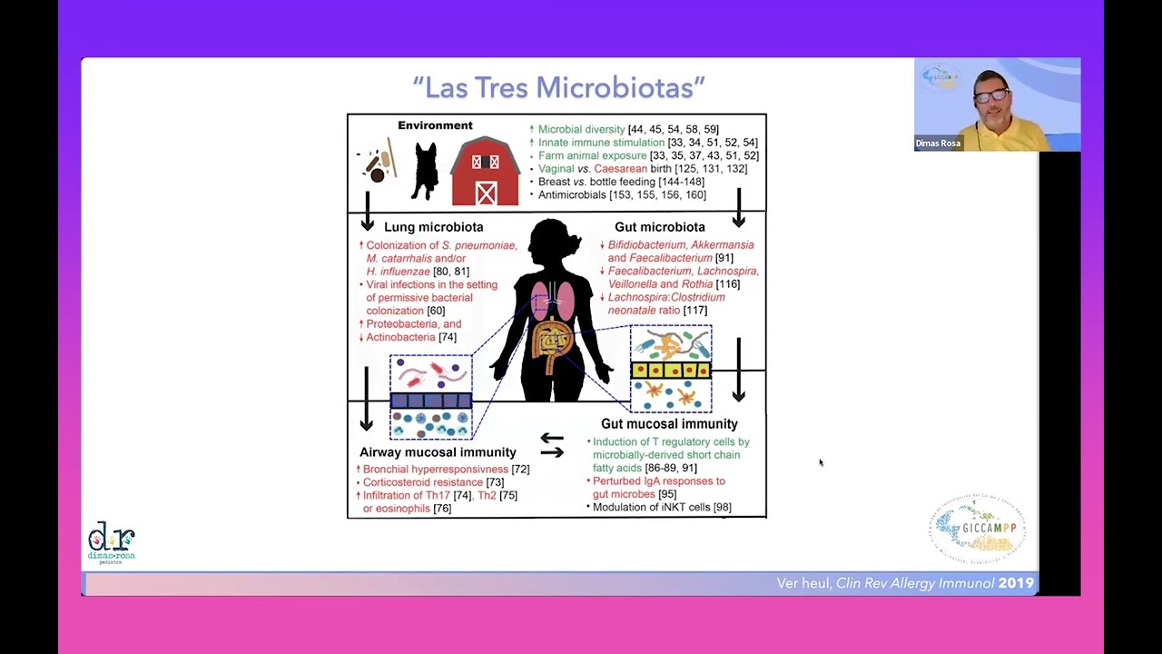 Papel de la microbiota en la fisiopatología de la enfermedadrespiratoria