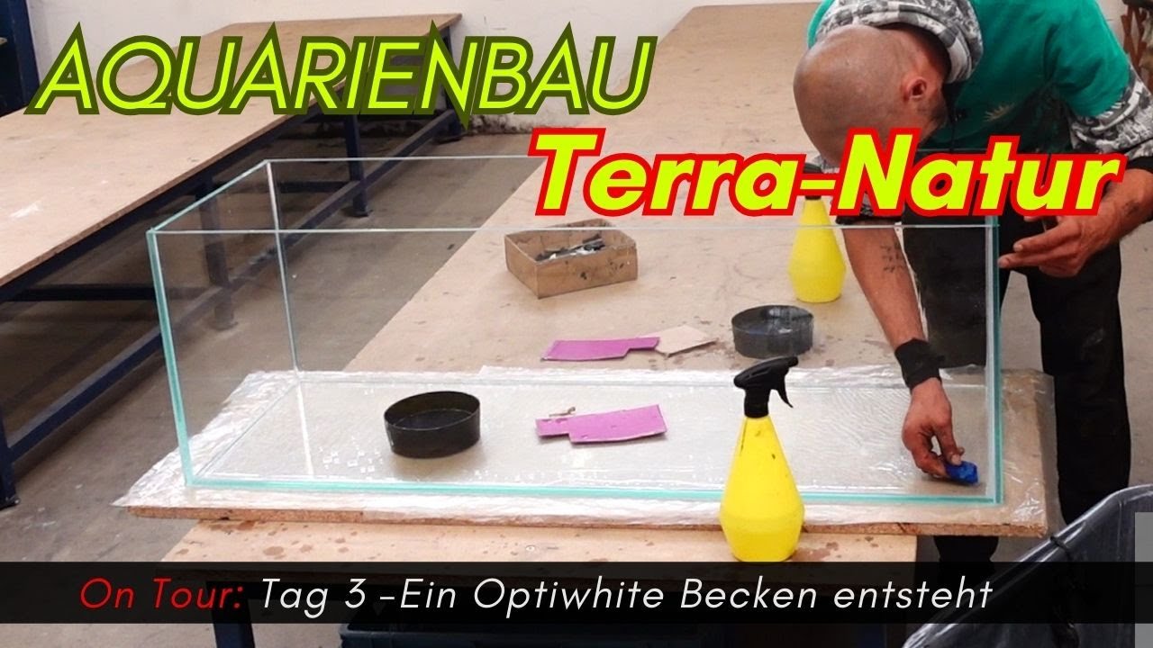 Aquarienbau Terra-Natur Tag 3 -Ein Optiwhite Becken entsteht; Glasschiebeabdeckungen #vlog