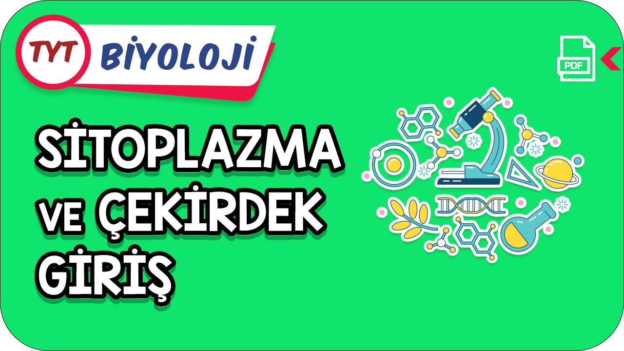 Sitoplazma ve Çekirdek-Giriş | Kamp2021    #YazKampı