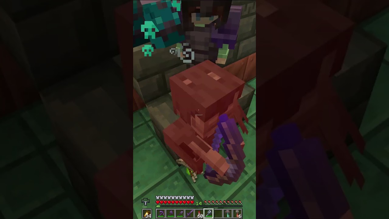 ไหนบอกหมดแล้วไง #luckkyz #minecraft #ismp